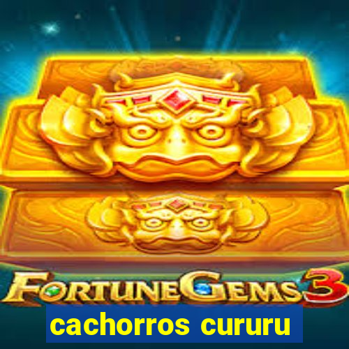 cachorros cururu